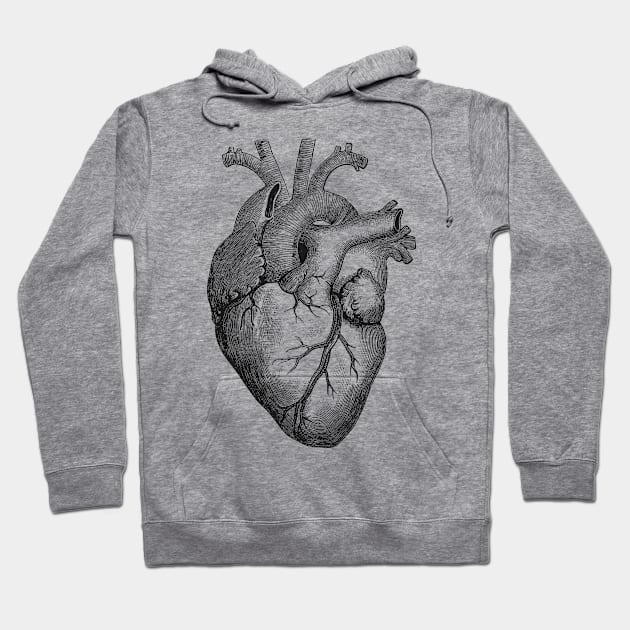 Anatomical Heart Hoodie by Satic